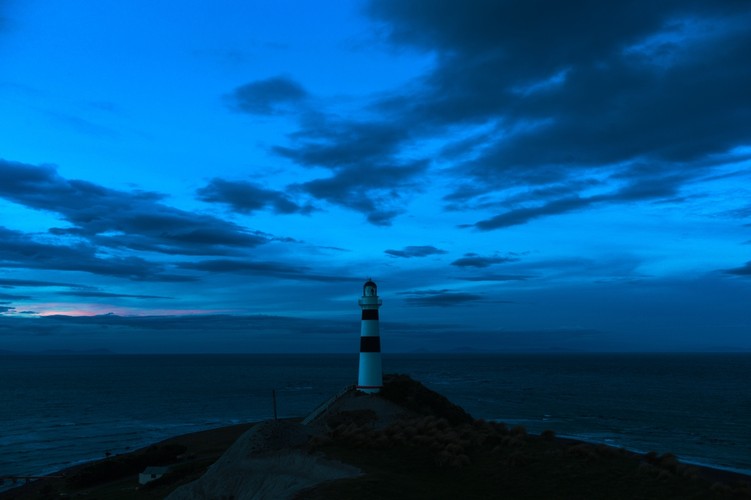 'Światło między ocenami' w kinach od 18 listopada