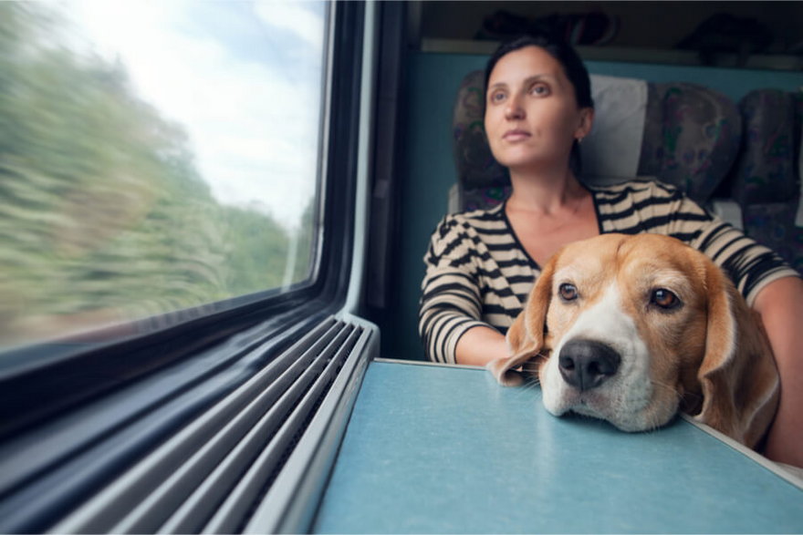 Najwygodniej z psem podróżuje się w wagonie bez przedziałów ©Shutterstock