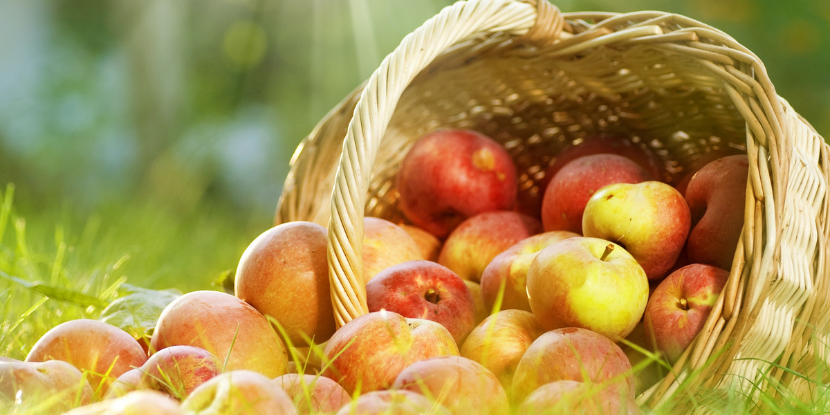 Światowy Dzień Jabłka obchodzimy 28 września.