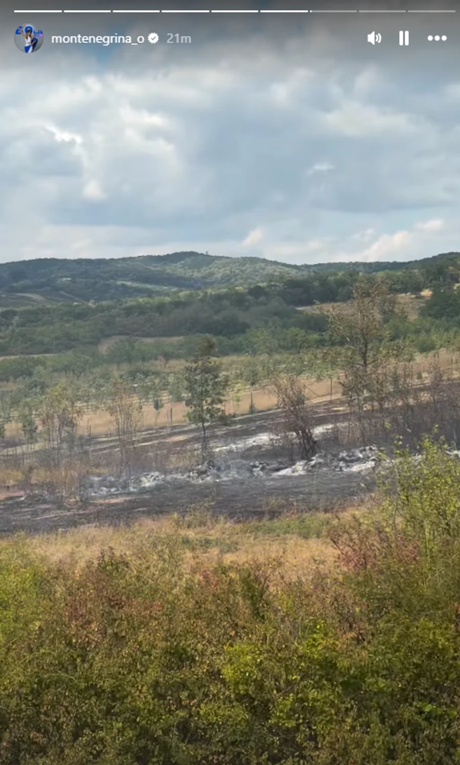 Olja Crnogorac, požar 