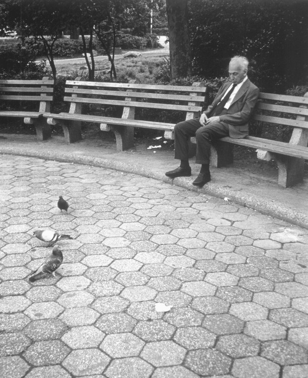 André Kertész – fotograf życia codziennego. Eksperymentował z kompozycją i nieoczywistą perspektywą. Na zdjęciu w nowojorskim parku, 1973 r.