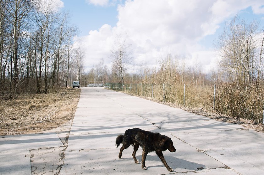 Miejsce katastrofy 5 lat później