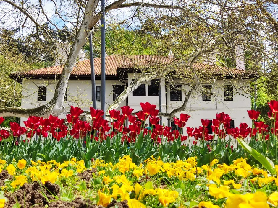 Topčiderski park i Milošev konak u pozadini