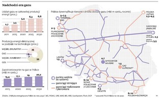 Gaz ziemny może wygrać w Polsce z energią atomową