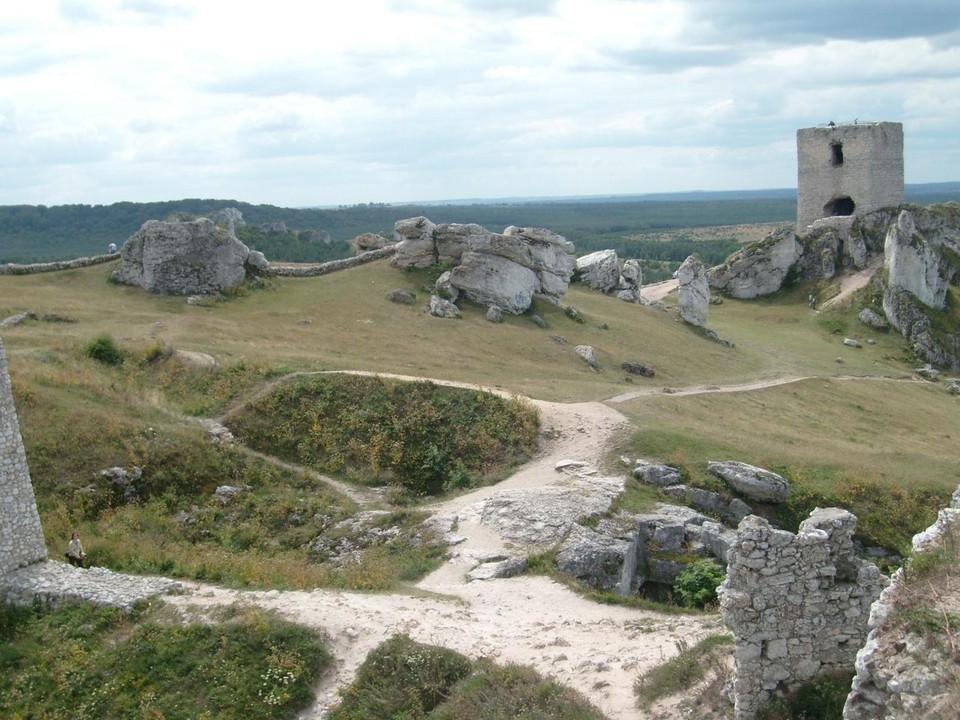 robson - Olsztyn