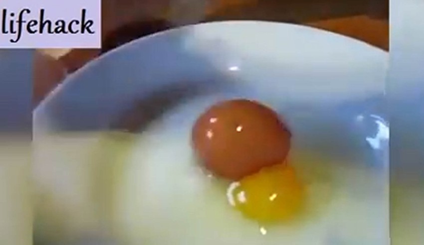 Zasebno jaje potpuno se formiralo u drugom jajetu