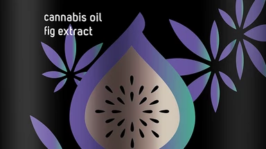 Nowe mleczka i mgiełki do pielęgnacji ciała Cannabis evrēe