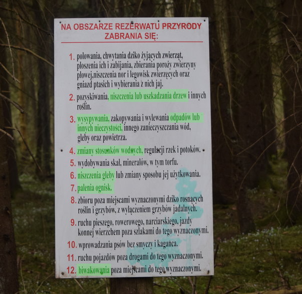 Zasady przebywania w rezerwacie Puszczy Białowieskiej 