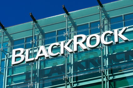 Klienci BlackRock stracili 17 mld dol. po inwazji Rosji na Ukrainę