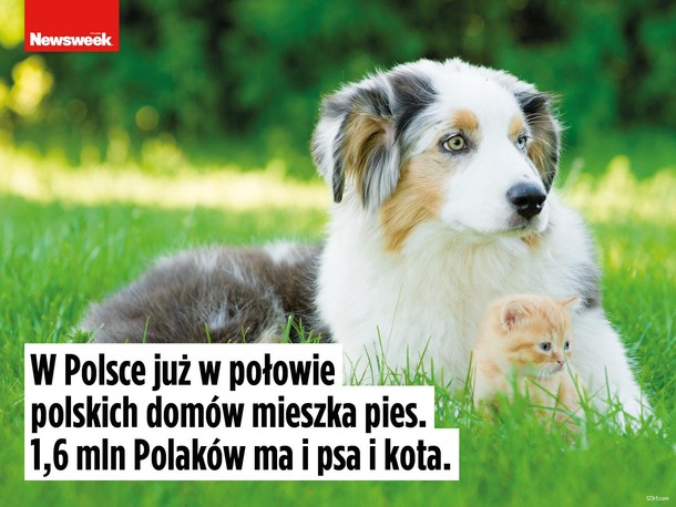 Dzień psa