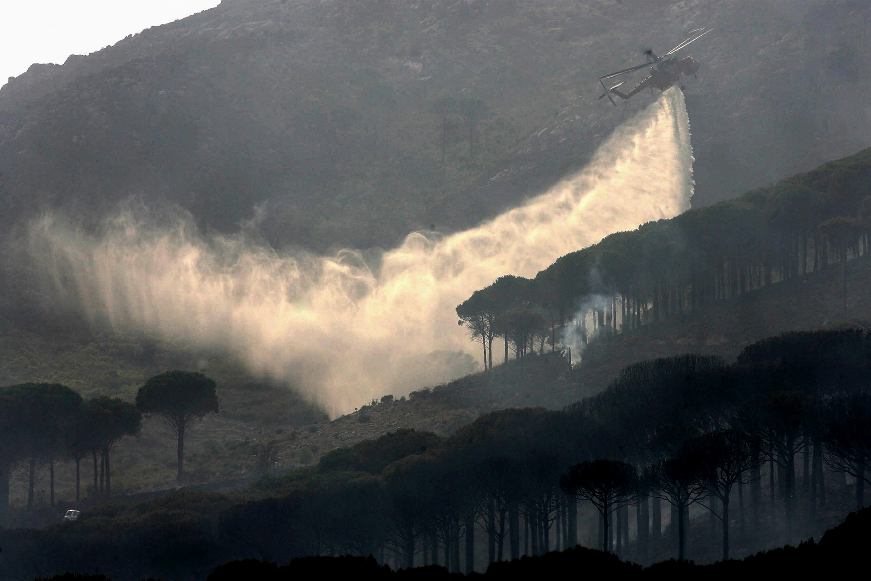 Incendi Sicilia: Legacoop denuncia gestione inadeguata