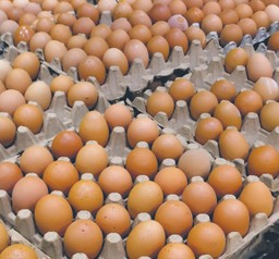 Cena jajek bije rekordy. Czy czekają nas dalsze podwyżki na Wielkanoc?