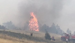 Požar na Tari nakon udara groma 