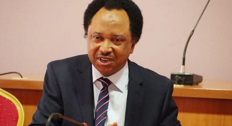 Senator Shehu Sani. [Guardian] 