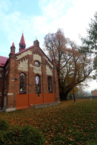 Kilkusetletnia lipa rosnąca w przy kościele pw. Przemienienia Pańskiego w Cielętnikach