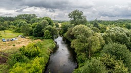 Śnięte ryby w rzece Ner. Sztab kryzysowy rekomenduje, by nie kąpać się i nie poić zwierząt