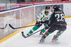 Hokeiści z Jastrzębia brązowymi medalistami mistrzostw Polski