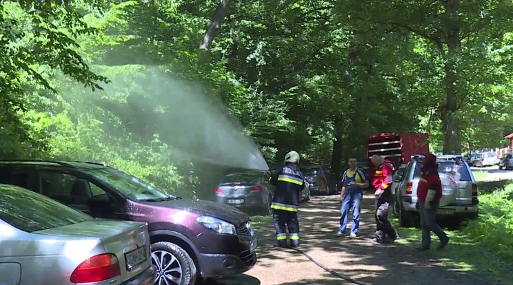 Méhek szállták meg a parkolót