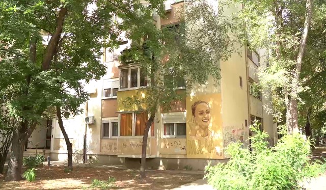 Maja Ognjenović, emisija "Metar moga sela"