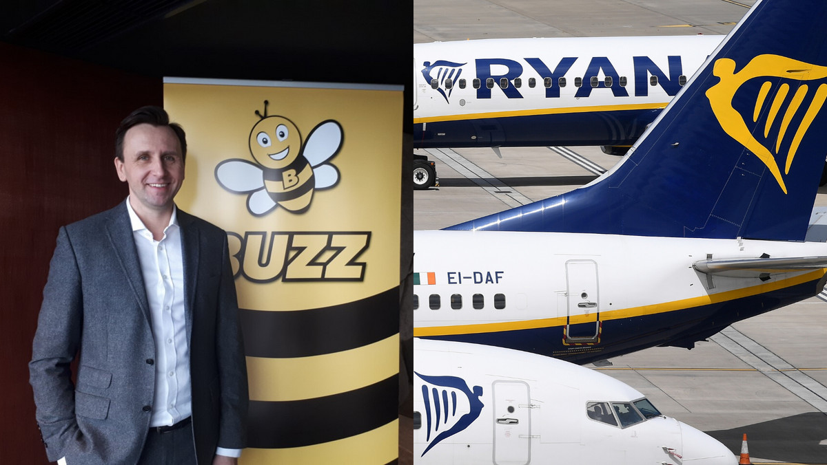 Ryanair wrócił na polskie niebo. "To będą rekordowo tanie wakacje" [WYWIAD]