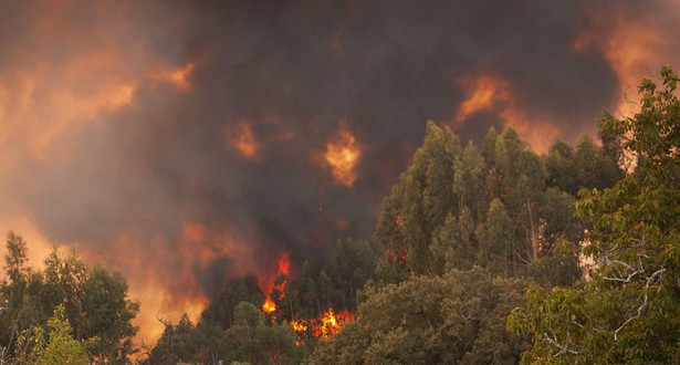 Duży pożar lasów na północy Portugalii. Rozpoczęto ewakuację ludności