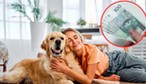 Pies kosztuje? Nie wszędzie. Sprawdź, kto zapłaci opłatę w 2026 roku