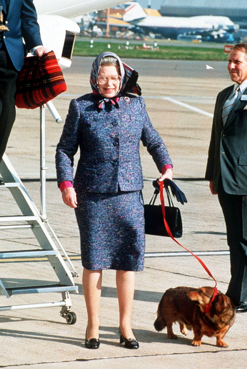Królowa Elżbieta II prowadzi psa na smyczy