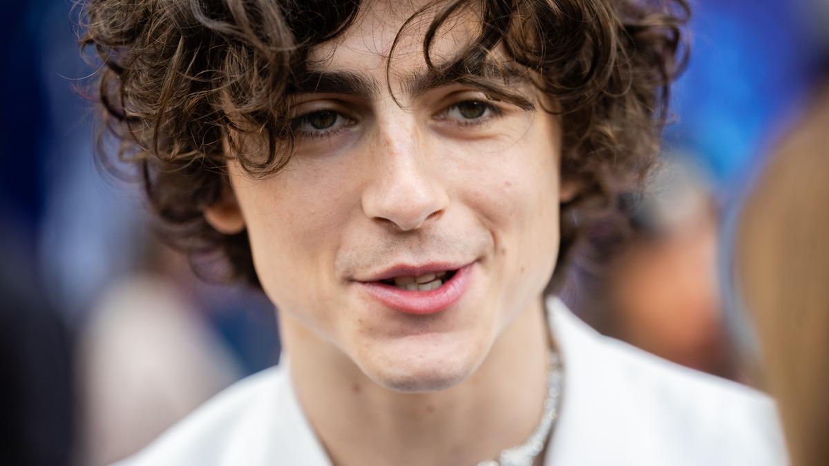 Timothée Chalamet szexi bőrszerkóban hódított a vörös szőnyegen, a rajongók valósággal lerohanták