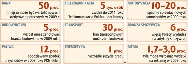 Ankieta GP - plany firm na kryzysowy 2009 rok