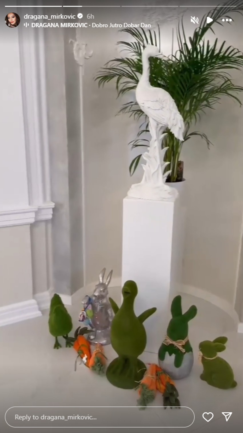 Dragana Mirković, objava na Instagramu