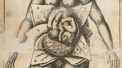 L0051871 Illustration of woman in utero