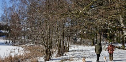 Jaki będzie długi weekend? Synoptycy apelują zwłaszcza o ostrożność na drogach