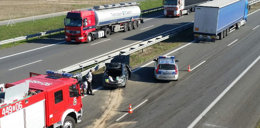 Wypadek na autostradzie. Dwie osoby ranne przez dzikie zwierzę