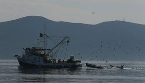 Ilustracija Jadrankso more