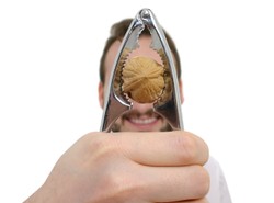 Panowie, jedzcie orzechy. Nie pożałujecie