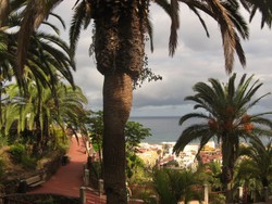 Zaginiona Atlantyda? To tam zatrzymał się Kolumb zanim odkrył Amerykę. Teneryfa na ZDJĘCIACH