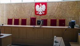 B. wykładowca skazany za treści pedofilskie