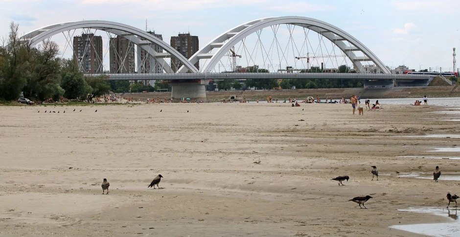 Nizak vodostaj na Dunavu na plaži Oficirac