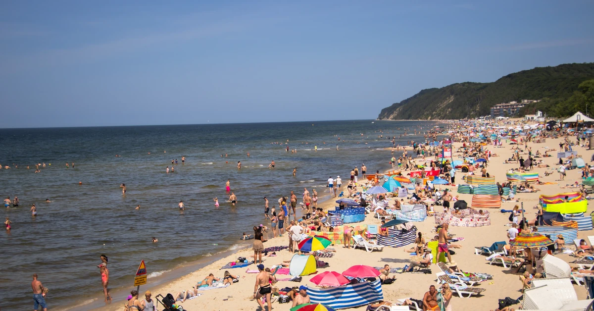Tak oszukują turystów nad Bałtykiem. Porażające wyniki kontroli