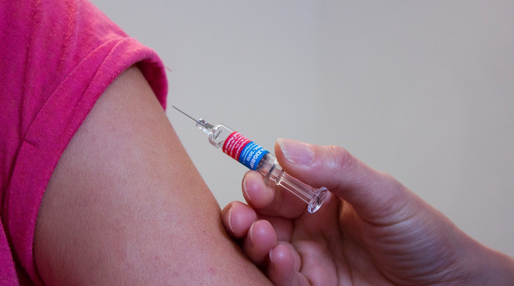 Engedélyezte a WHO a malária elleni védőoltást / Fotó: Pixabay