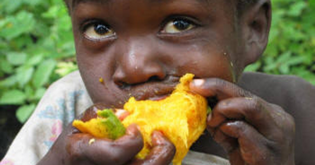 Mango Szn Pros and cons of eating mango Pulse Nigeria