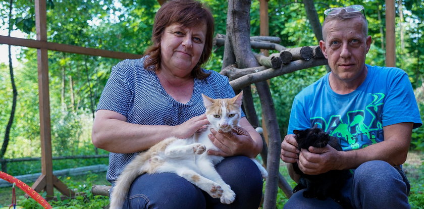 Kocie ranczo na Podlasiu. Uratowali już 300 mruczków