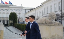 Rabiej: Petru byłby lepszym kandydatem na premiera niż Schetyna - jest bardziej otwarty