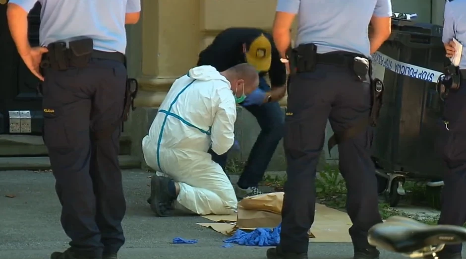 Maribor napad na devojku u parku