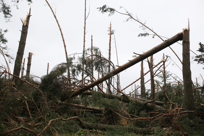 Widok na zniszczony przez nawałnice las w okolicy miejscowości Nowa Cerkiew