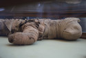 Unikalne odkrycie w Egipcie. Mumie lwów i innych wielkich kotów