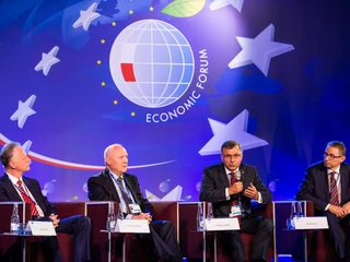 Krynica - Forum