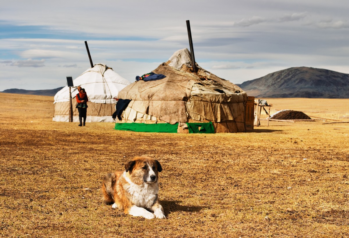 Mongolia, fot. Pichugin Dmitry