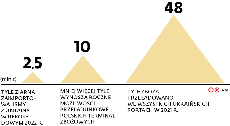 Tyle ziarna zaimportowaliśmy z Ukrainy w rekordowym 2022 r.