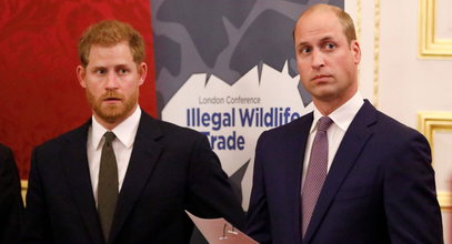 Na tę chwilę czekano od dawna! William i Harry wygłoszą wspólne przemówienie